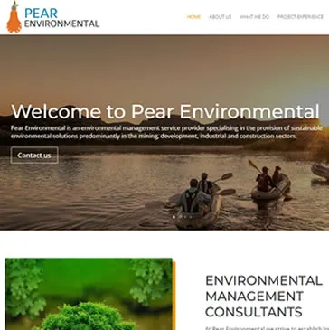 sareflex2 website design