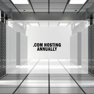 Annual .com Website Hosting